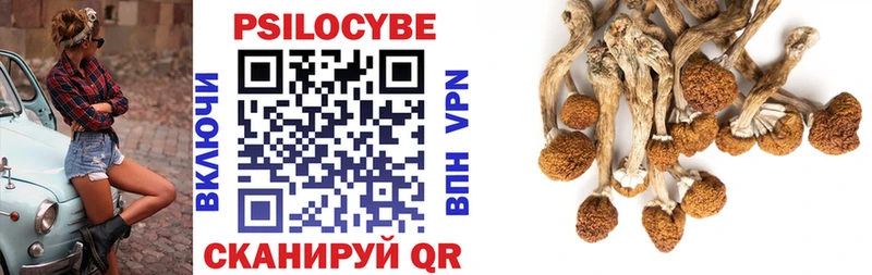 сколько стоит  Казань  Галлюциногенные грибы прущие грибы 